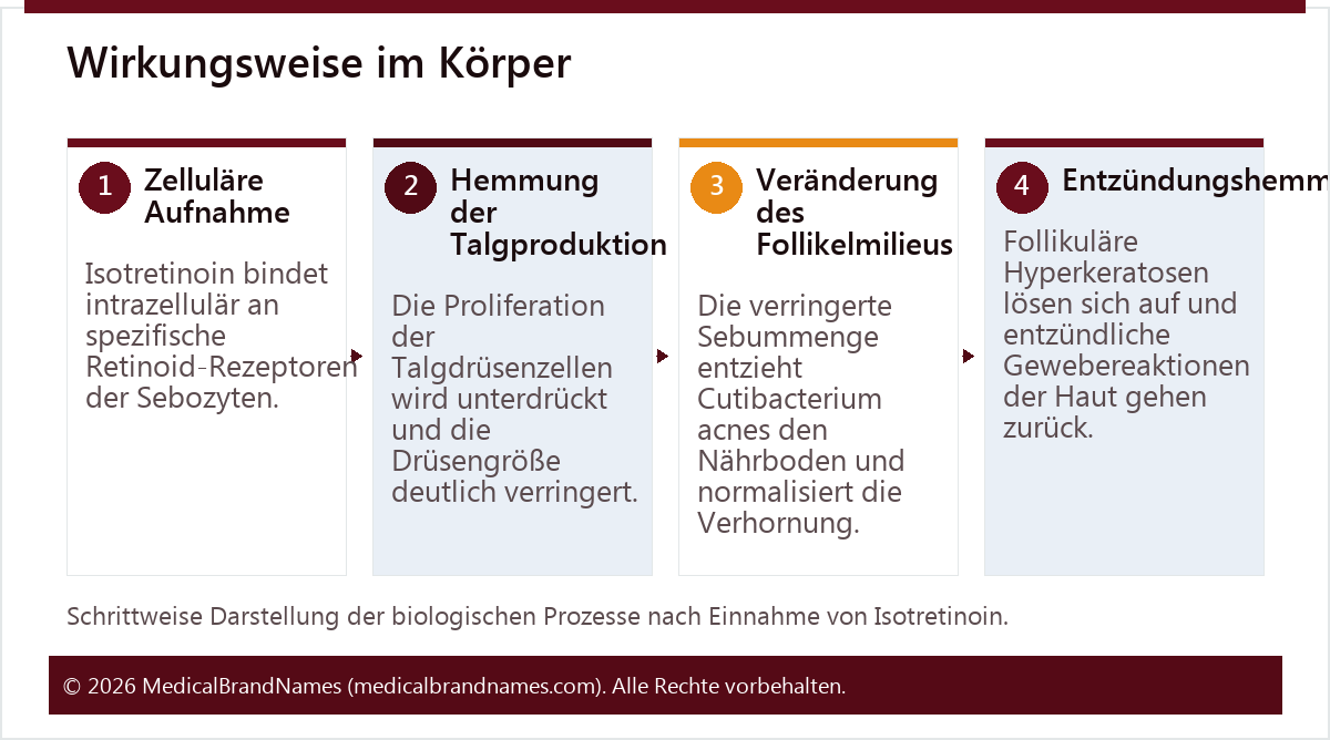 Wirkungsweise im Körper
