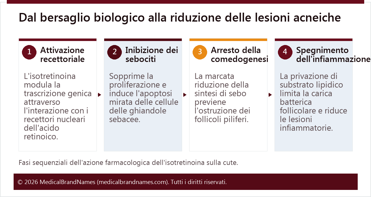 Dal bersaglio biologico alla riduzione delle lesioni acneiche