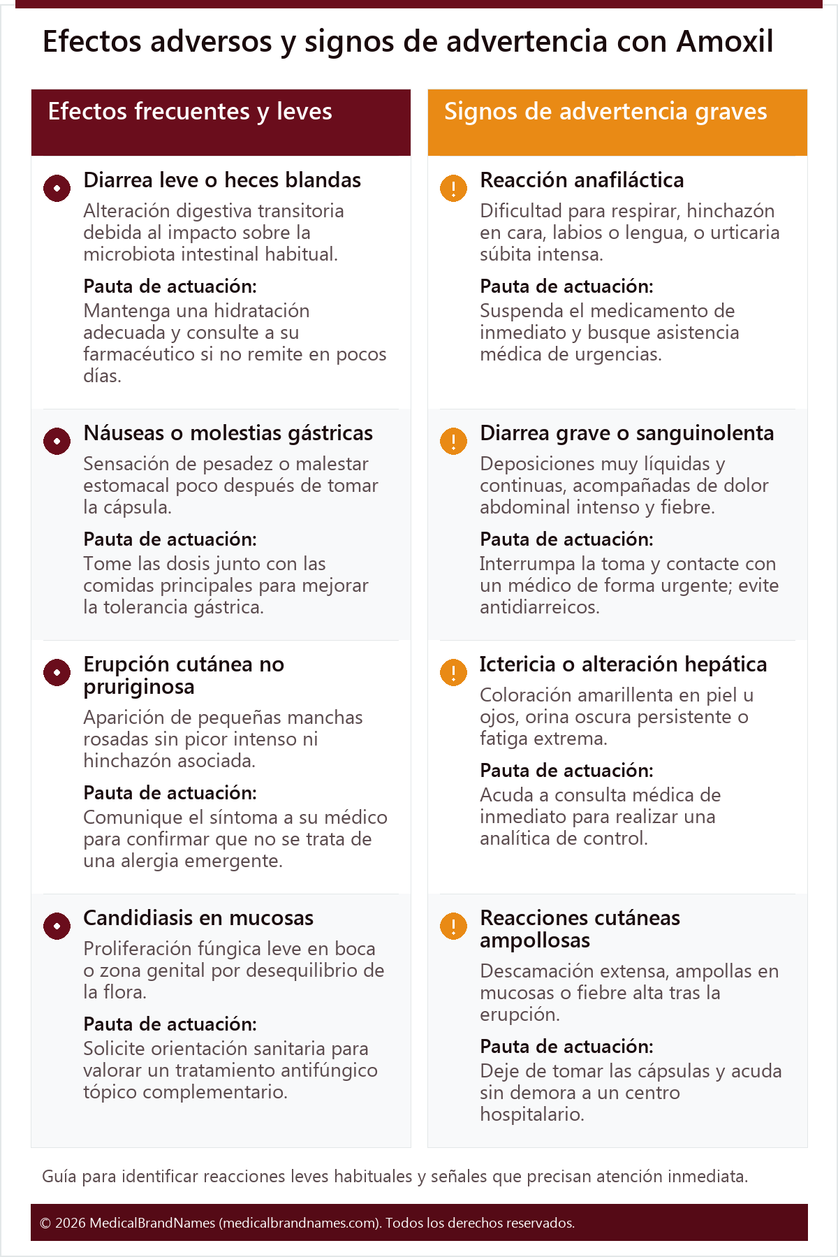 Efectos adversos y signos de advertencia con Amoxil