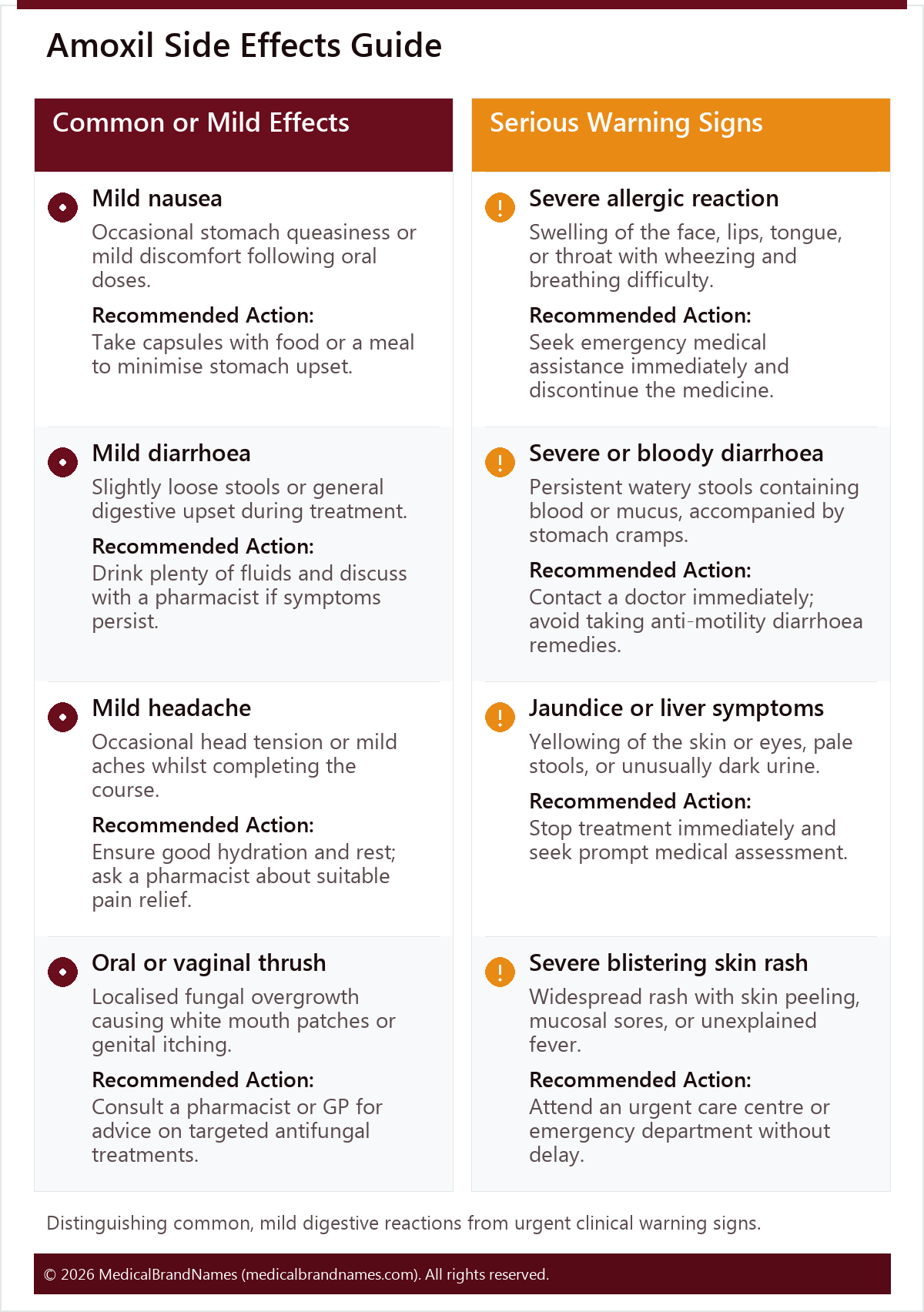 Amoxil Side Effects Guide