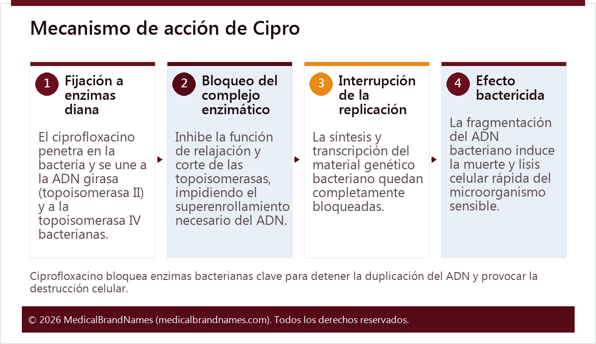 Mecanismo de acción de Cipro