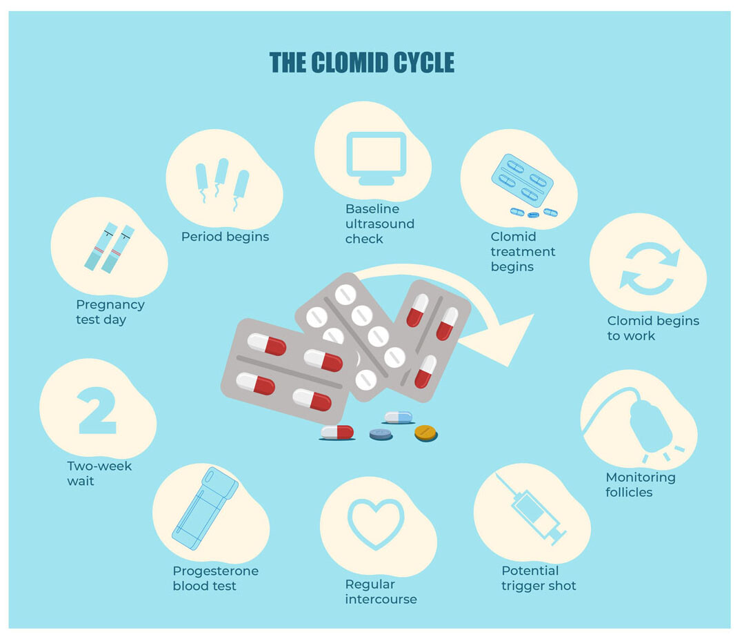 Clomid Cycle