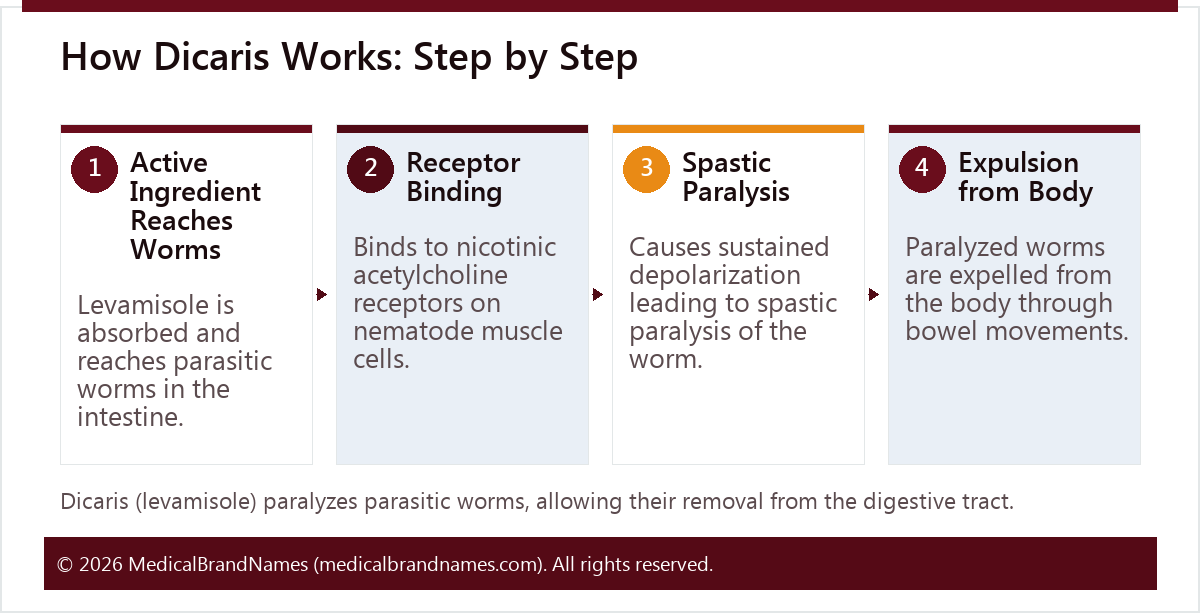 How Dicaris Works: Step by Step