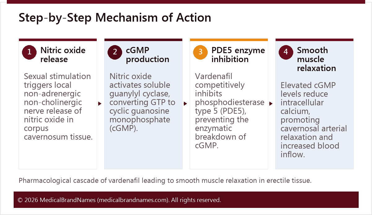 Step-by-Step Mechanism of Action