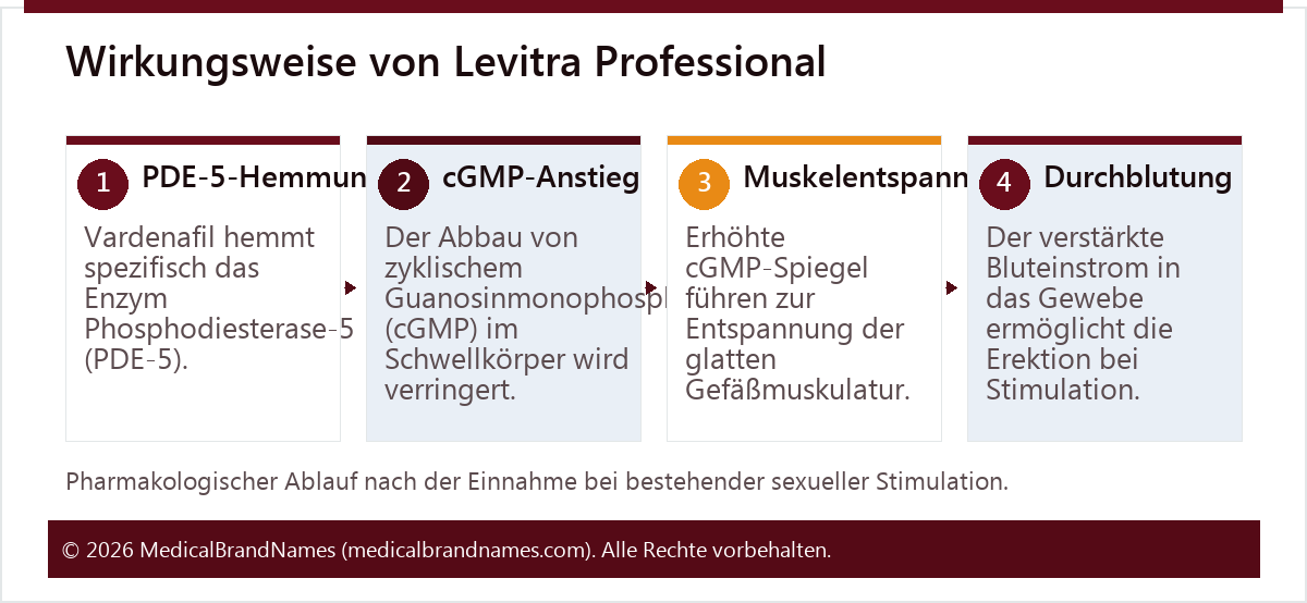 Wirkungsweise von Levitra Professional