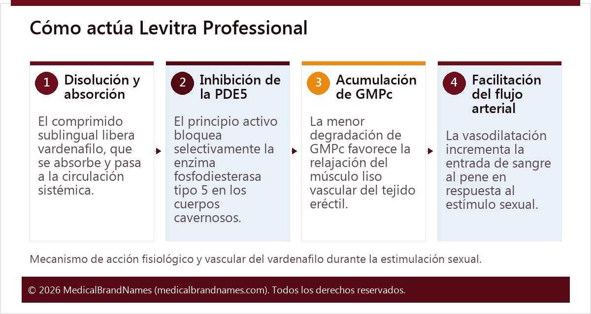 Cómo actúa Levitra Professional