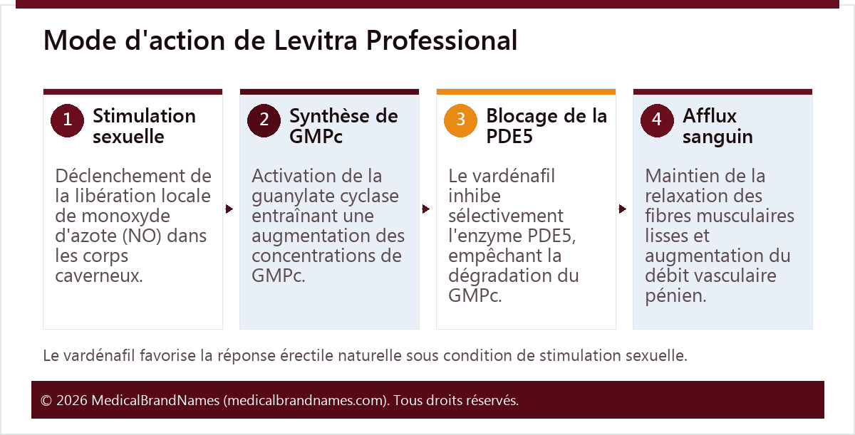 Mode d'action de Levitra Professional