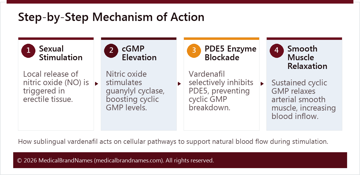 Step-by-Step Mechanism of Action