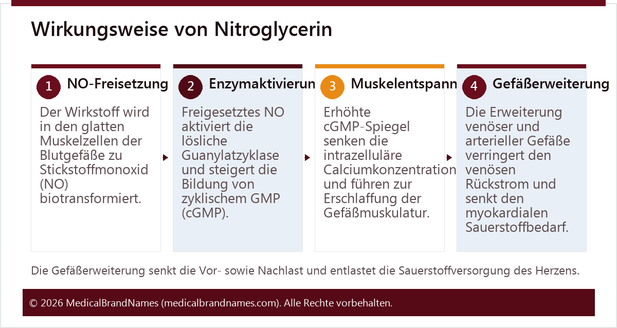 Wirkungsweise von Nitroglycerin