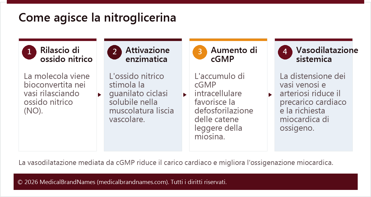 Come agisce la nitroglicerina