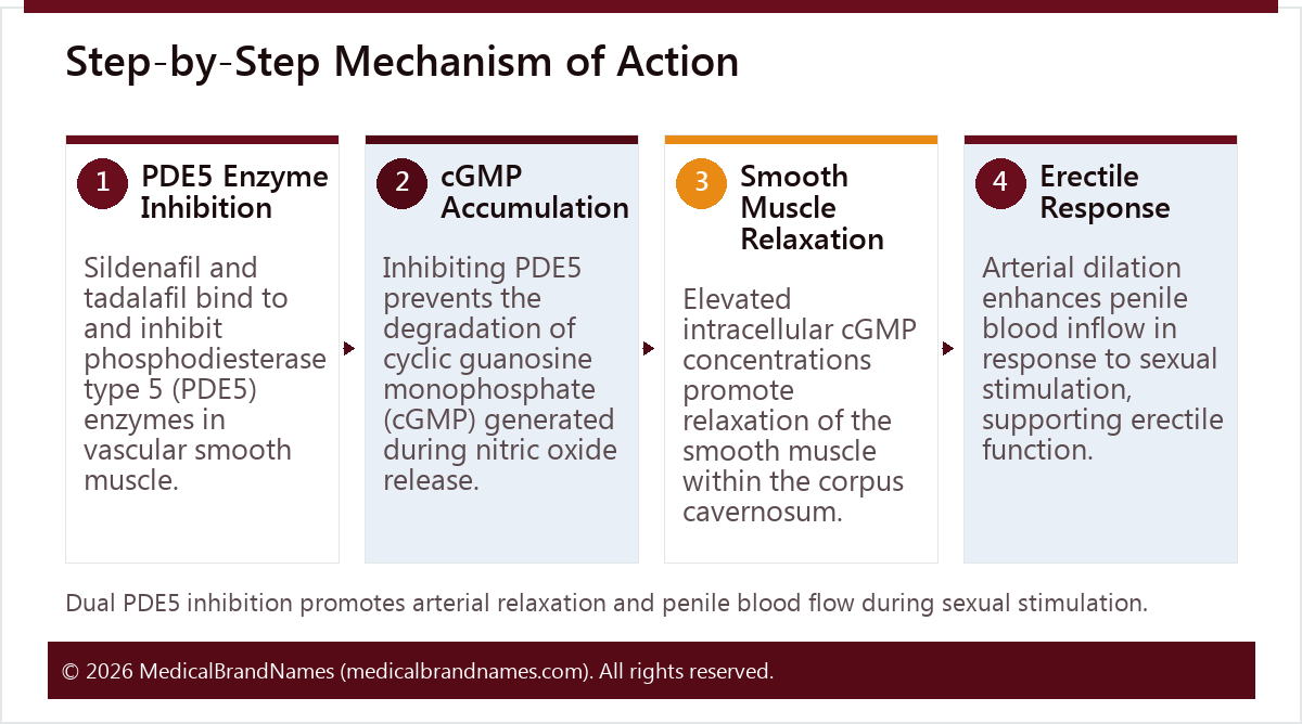 Step-by-Step Mechanism of Action
