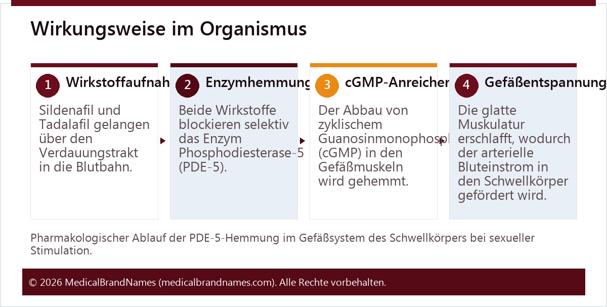 Wirkungsweise im Organismus