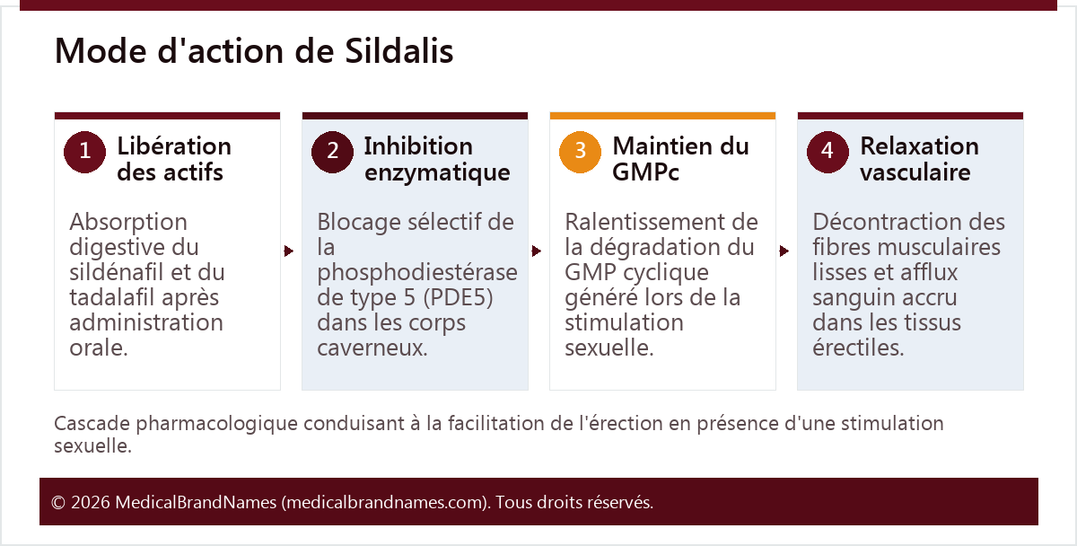 Mode d'action de Sildalis