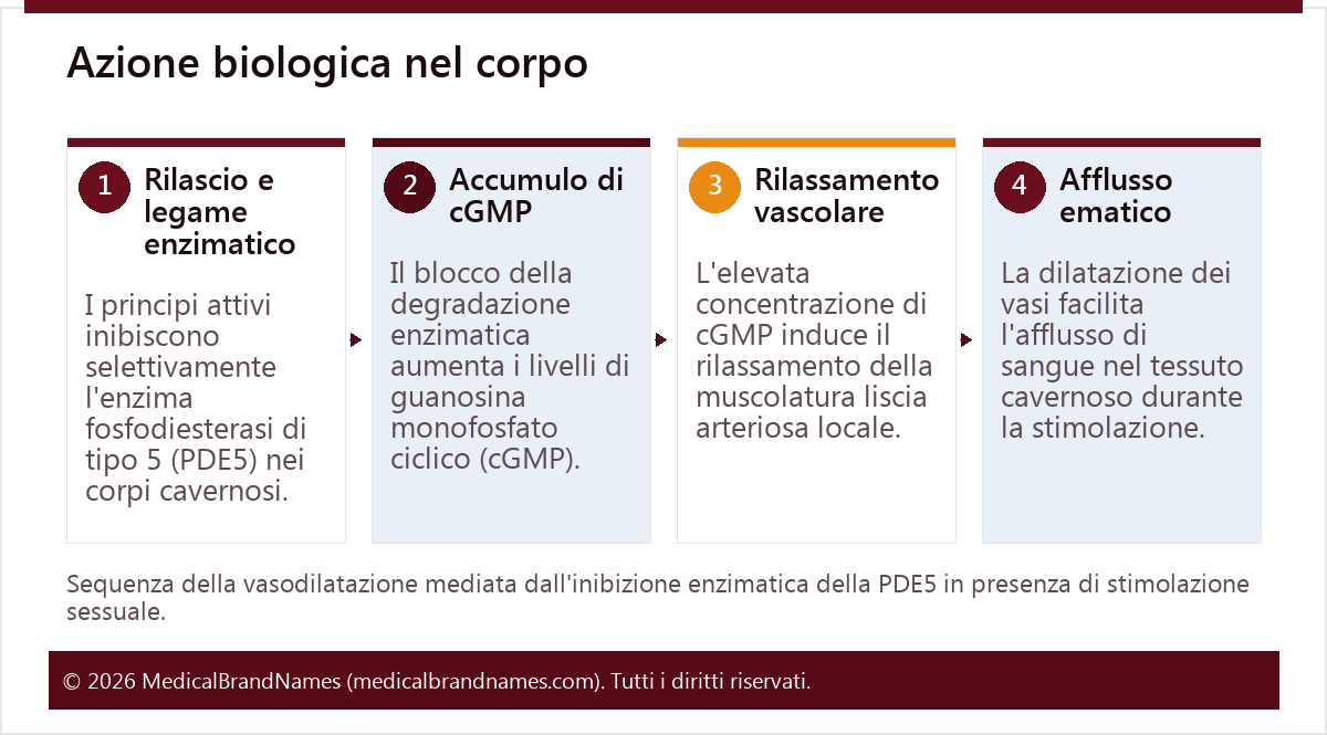 Azione biologica nel corpo