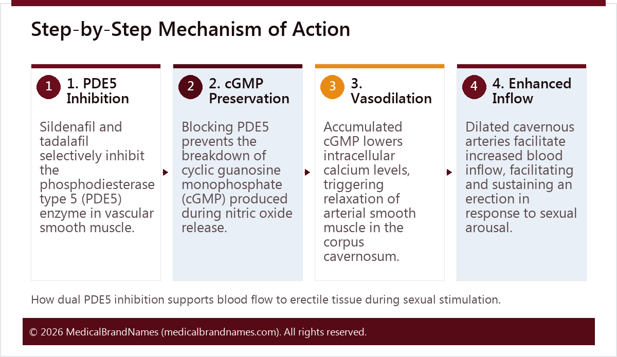 Step-by-Step Mechanism of Action