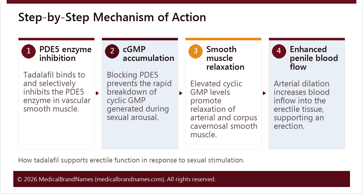 Step-by-Step Mechanism of Action