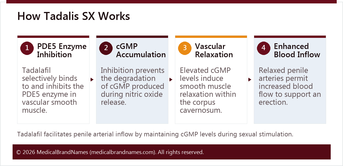 How Tadalis SX Works