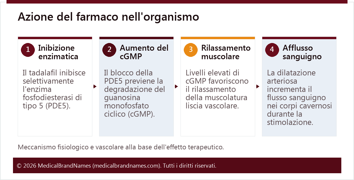 Azione del farmaco nell'organismo
