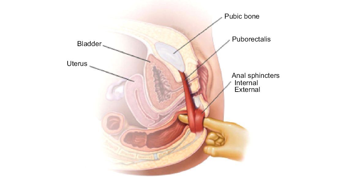 Medical Definition Of Epidemiology Clinical