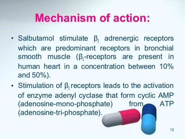 Albuterol Mechanism of Action